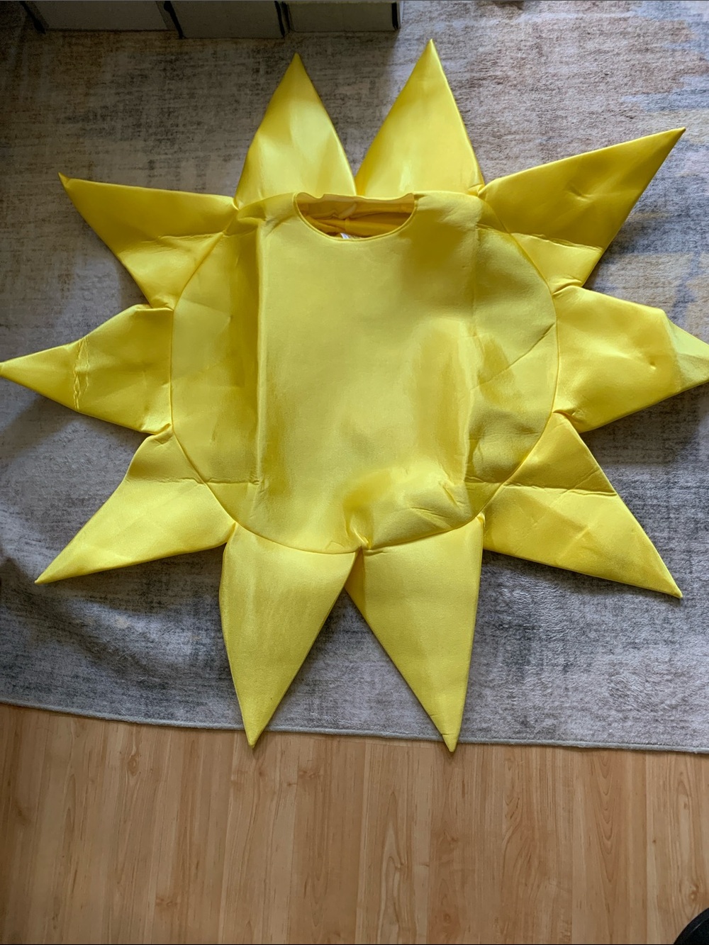 NIB Unisex Sunny Day Yellow Sun Costume by Rasta Imposta - Picture 2 of 13